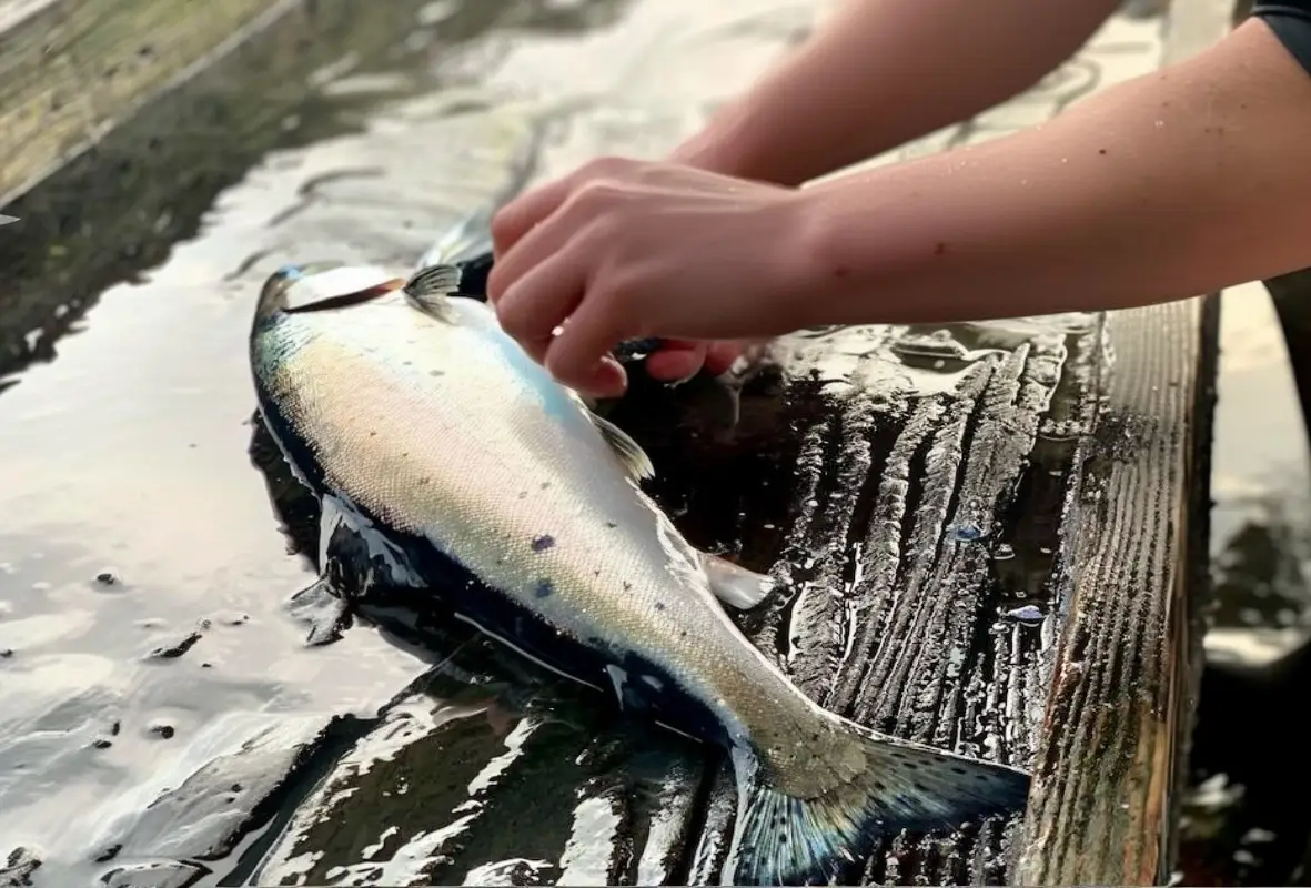 Vancouver Island Fishing Charters Tour 